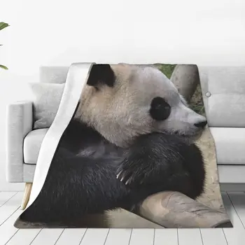 Одеяло для животных Fubao Panda Fu Bao, легкие дышащие гипоаллергенные пледы, долговечные, доступные по цене